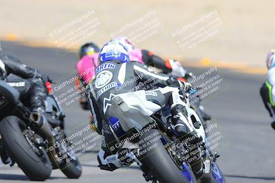 media/Mar-10-2024-SoCal Trackdays (Sun) [[6228d7c590]]/9-Turn 8 Backside (1150am)/